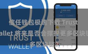 信任钱包极速下载 Trust Wallet 将来是否会撑捏更多区块链？