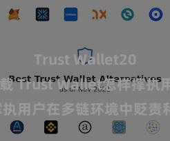 Trust Wallet2025版本下载 Trust Wallet怎样撑执用户在多链环境中贬责和兑换钞票？