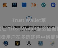 Trust Wallet苹果下载地址 Trust Wallet怎么因循用户在多链环境中措置和兑换钞票？